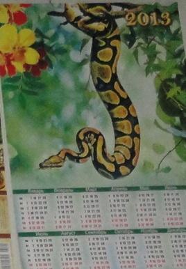 КЦ Календарь настенный арт. 05 год Змеи