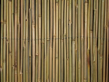 Забор сплошной 1,5 х 5 m (бамбук) 095 2301 Въетнам