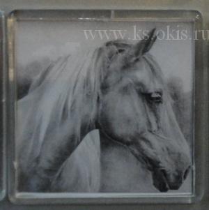 КЦ Магнит 5*5см прозрач пластик Год Лошади 2014 Серый конь