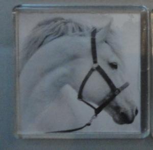 КЦ Магнит 5*5см прозрач пластик Год Лошади 2014 Белый конь
